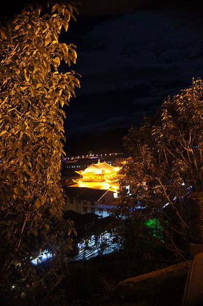neo_img_dsc09945.jpg
