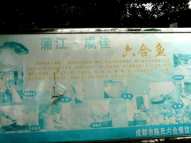 253.jpg