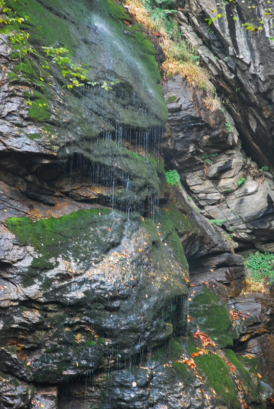 dsc_2391.jpg