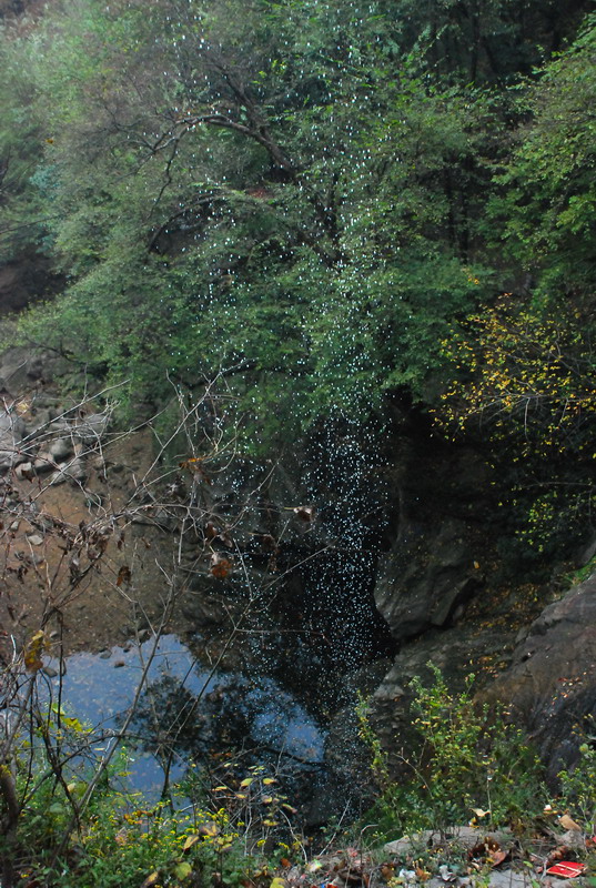 dsc_2397.jpg