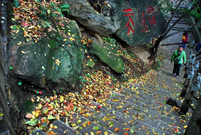 dsc_2400.jpg