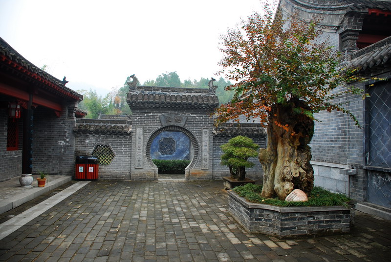 dsc_2348.jpg