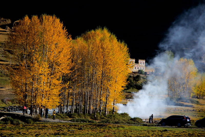 dpp_0046_СС.jpg