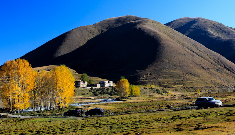 dpp_0063_СС.jpg