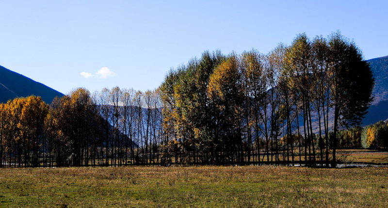dpp_0093_СС.jpg