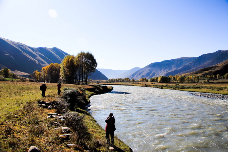 dpp_0096_СС.jpg