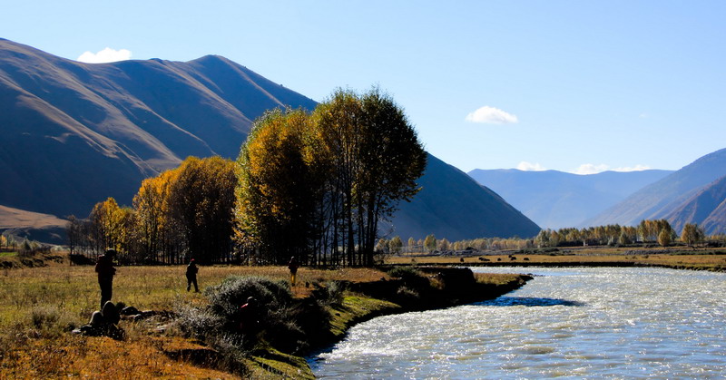 dpp_0102_СС.jpg
