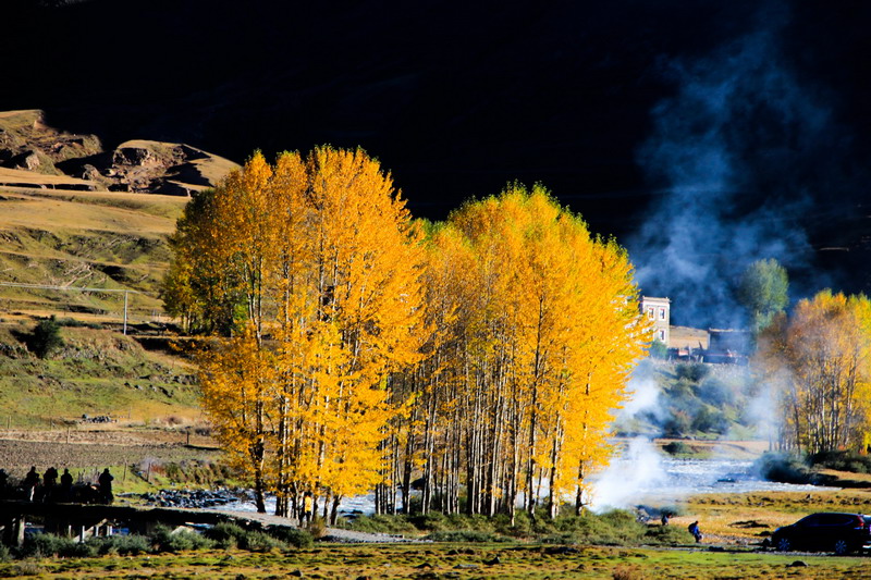 dpp_0043_СС.jpg