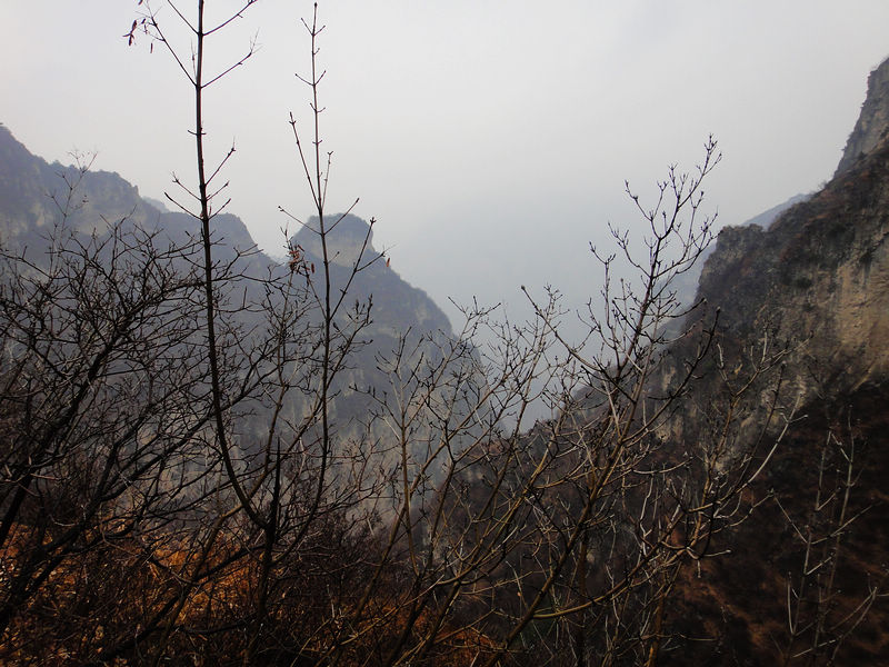 dsc08002.jpg