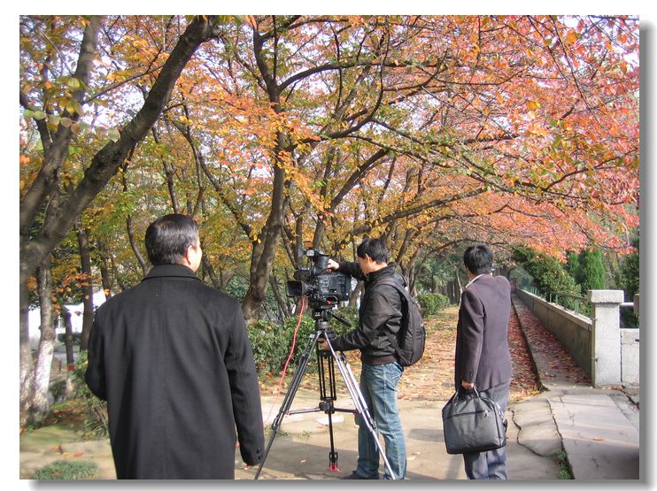 20121117 003.jpg