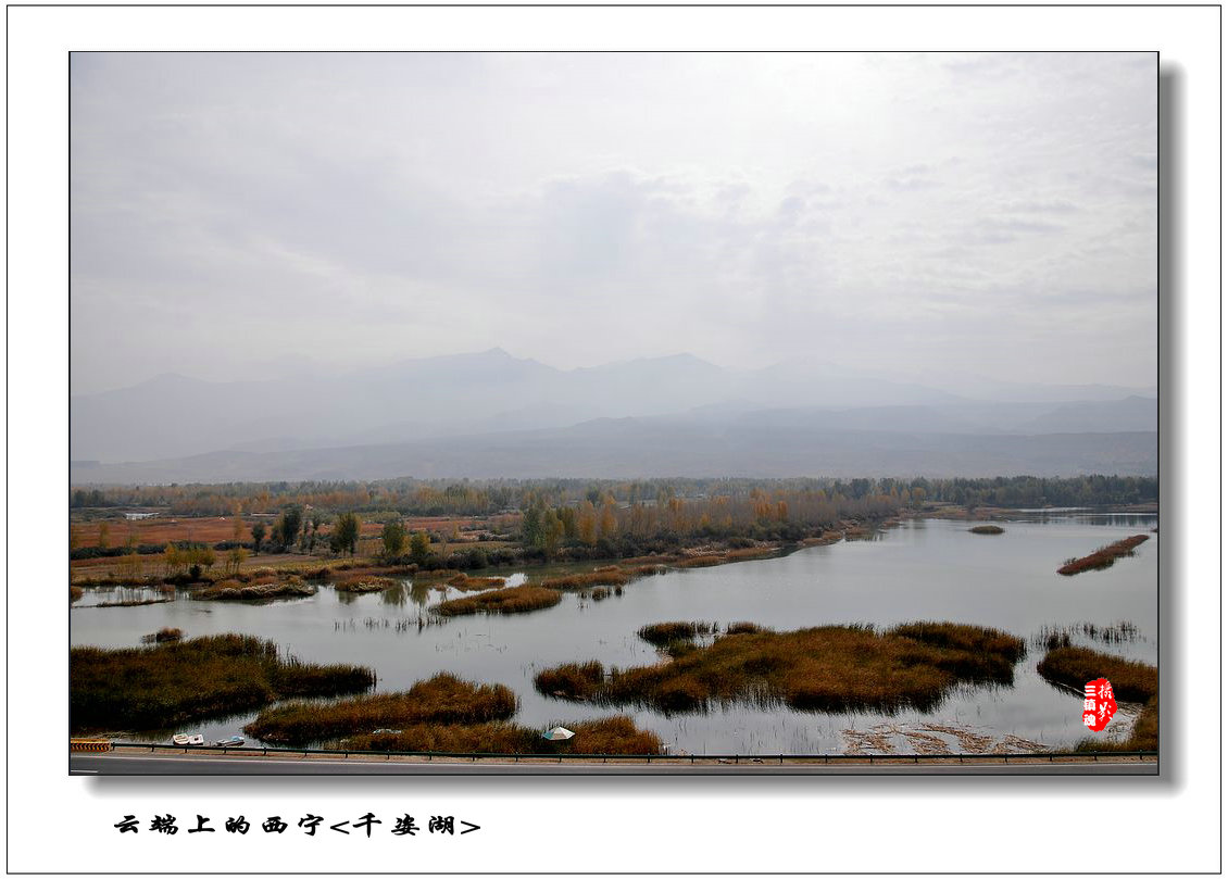 dsc_0709.jpg