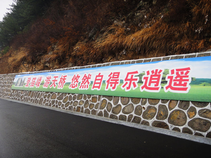 dsc08000.jpg
