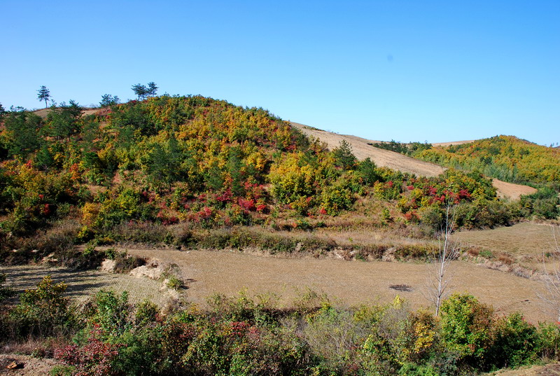 dsc_2440.jpg