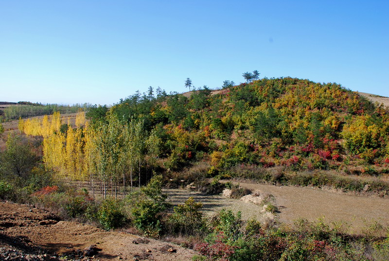 dsc_2439.jpg