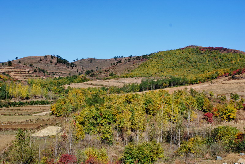 dsc_2442.jpg