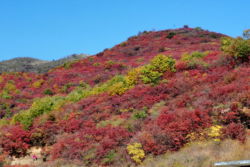 dsc_2444.jpg