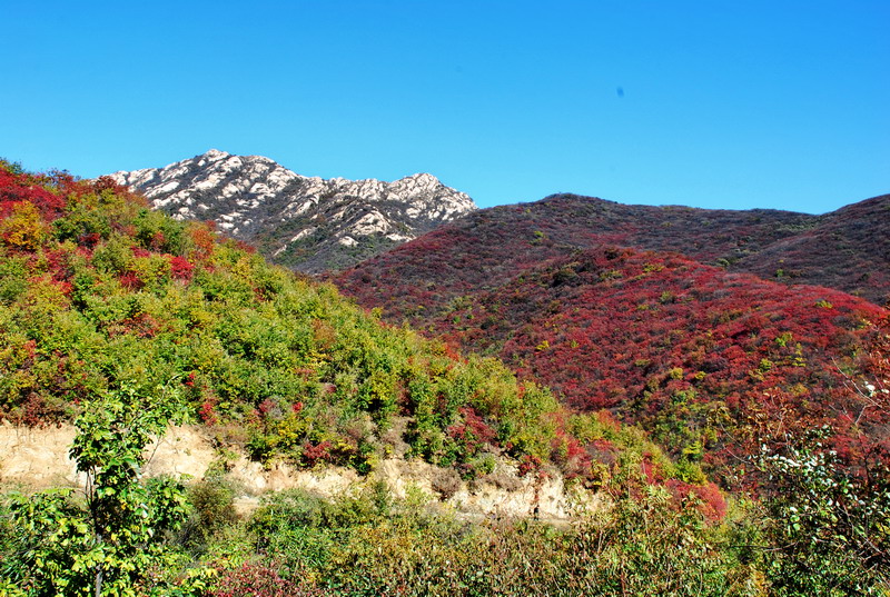 dsc_2448.jpg