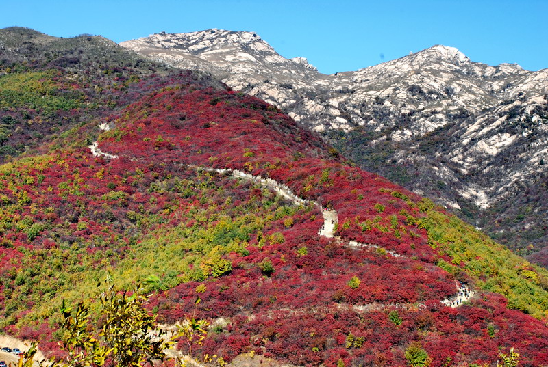 dsc_2461.jpg