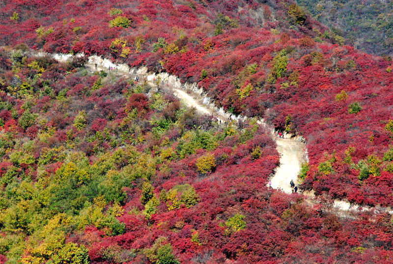 dsc_2465.jpg