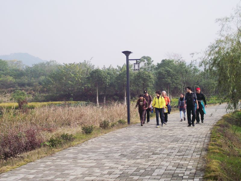dscf5008.jpg