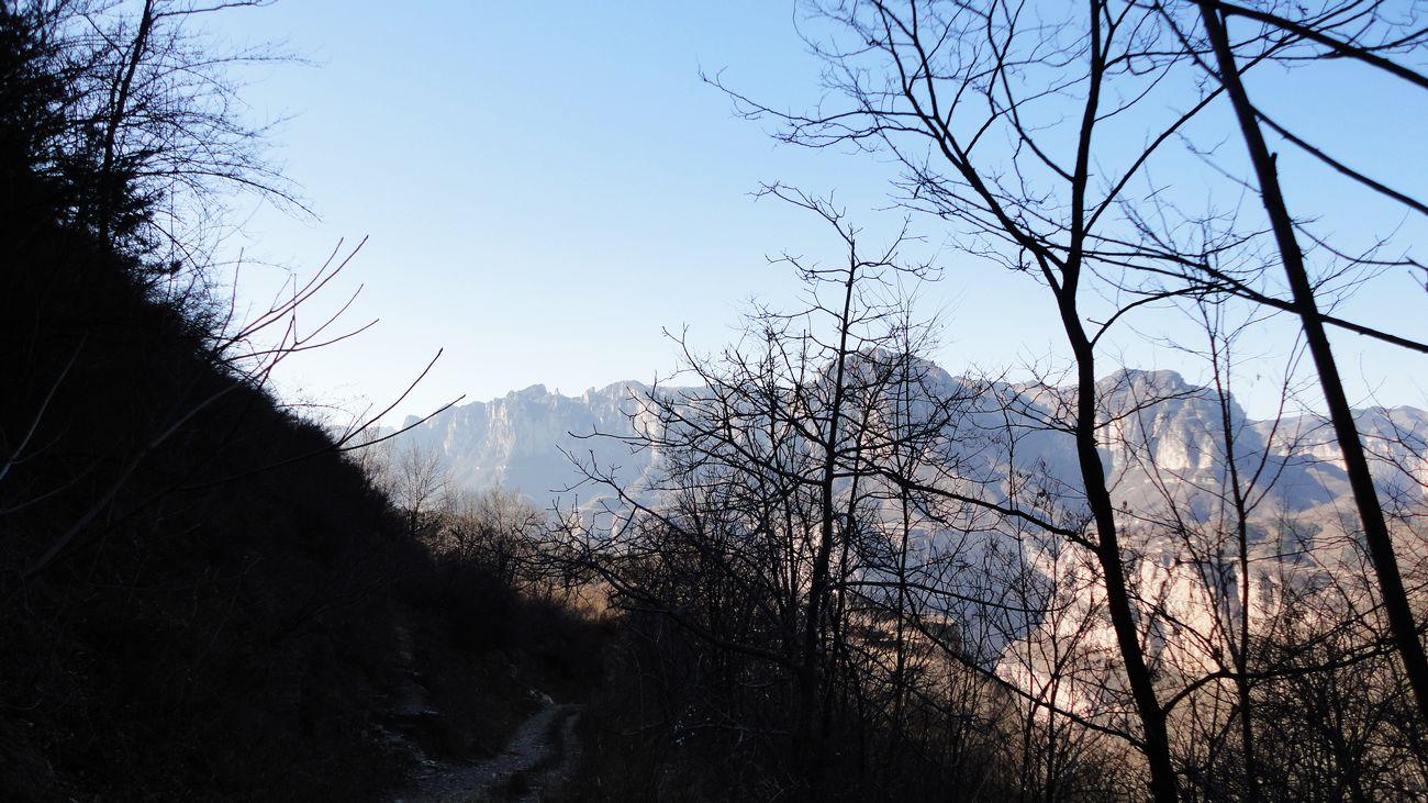 neo_img_dsc00355.jpg