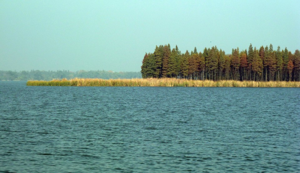 p1040644a.jpg