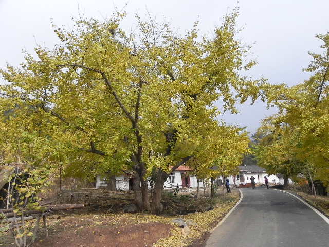 dscn1761.jpg