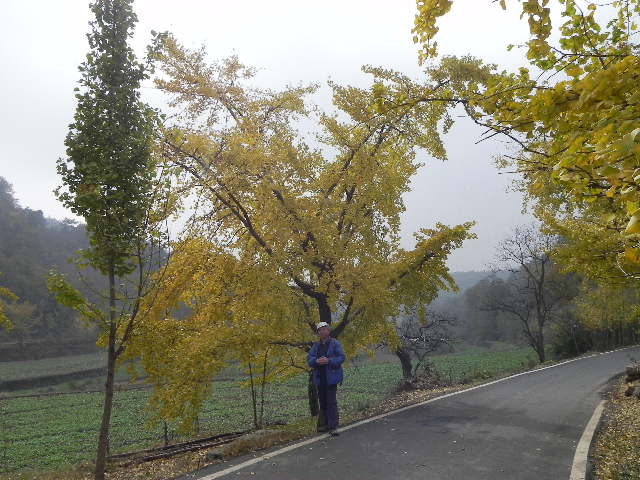 dscn1763.jpg