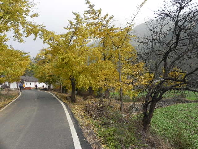 dscn1762.jpg