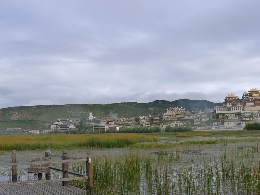 p1010166.jpg
