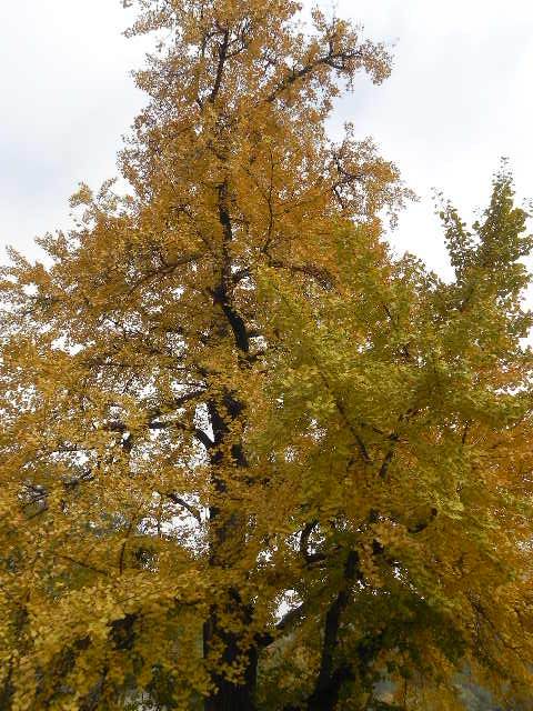 dscn1764.jpg