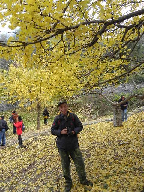 dscn1773.jpg