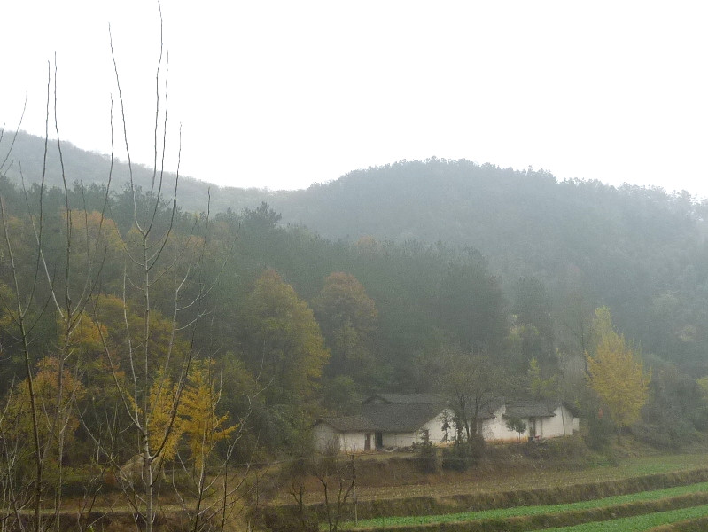 p1130169_.jpg