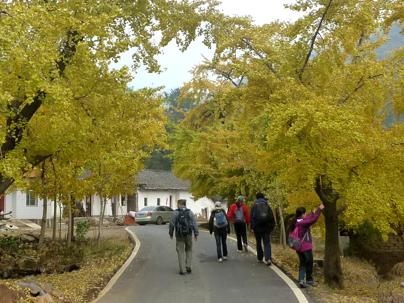 p1130172_.jpg