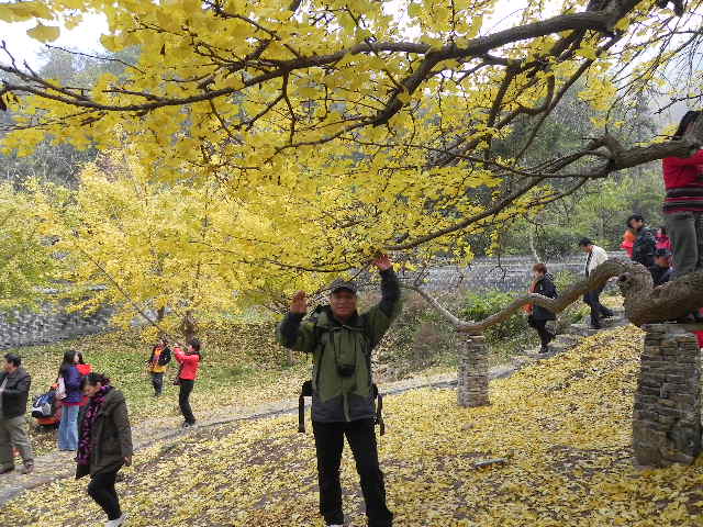 dscn1778.jpg