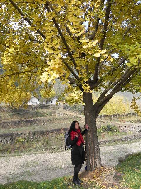 dscn1780.jpg