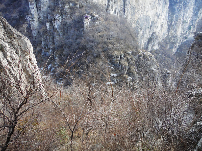 dsc08029.jpg