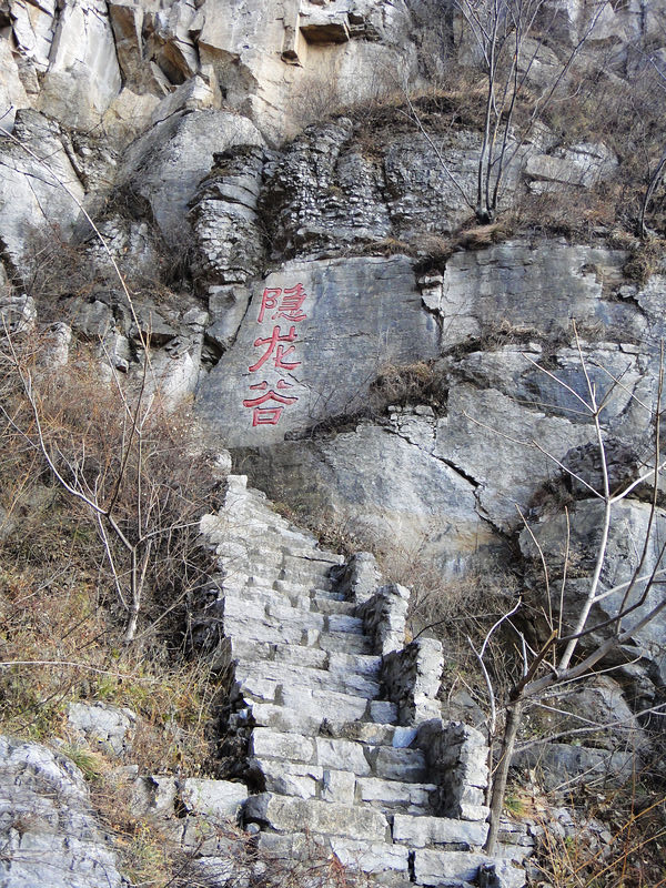 dsc08041.jpg