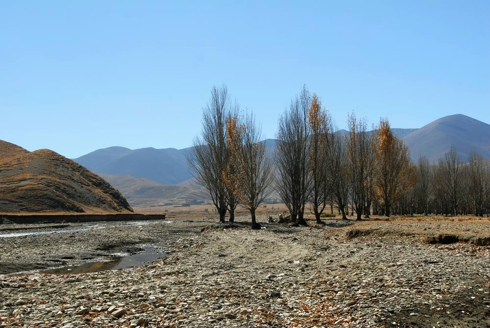 dsc_0227.jpg