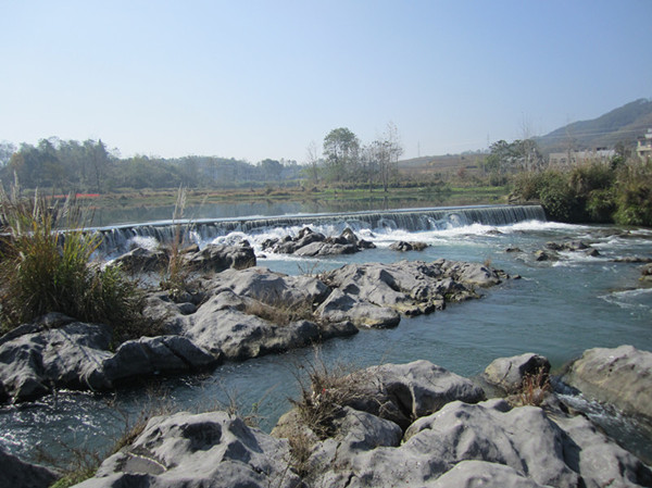 img_1872__.jpg