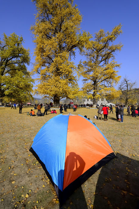 _dsc5288_000.jpg