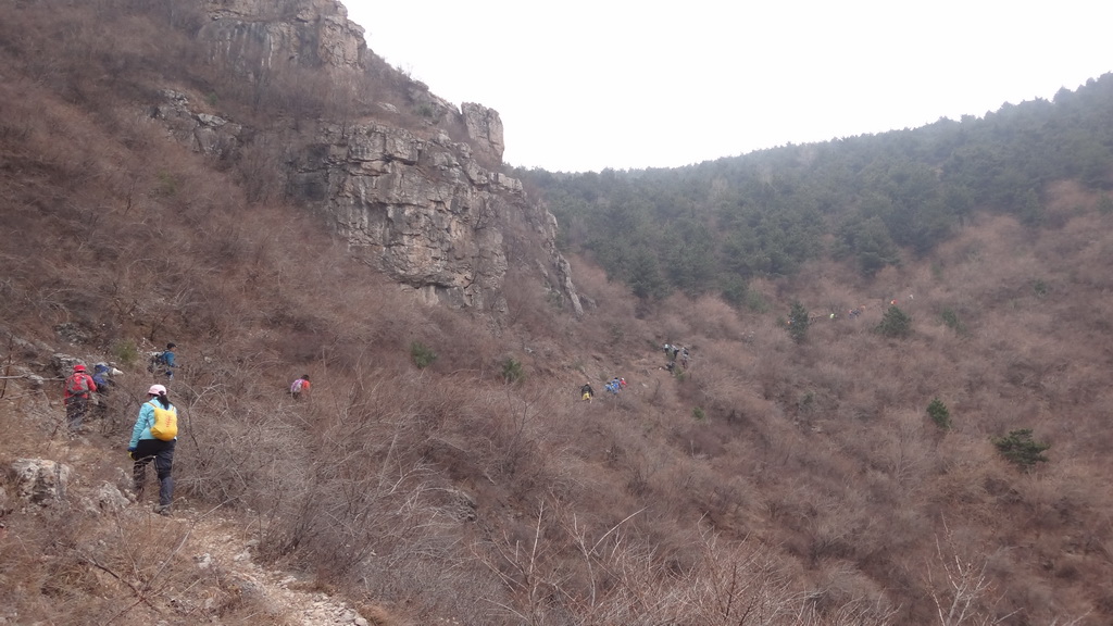 dsc06086.jpg