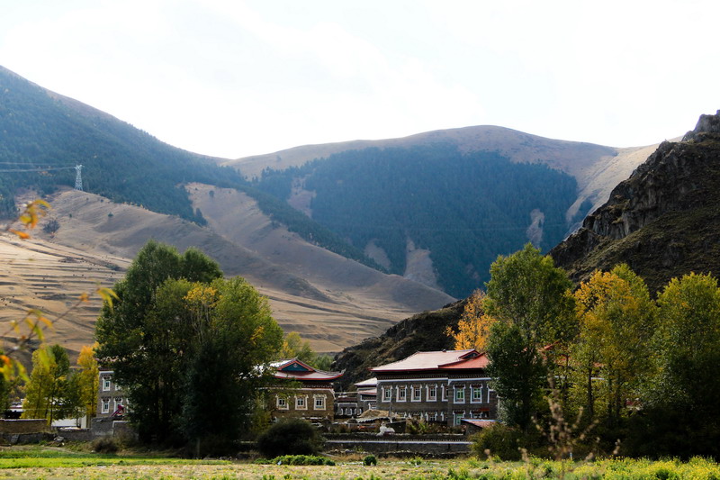 img_0983_СС.jpg