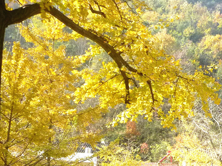 p1130214__.jpg