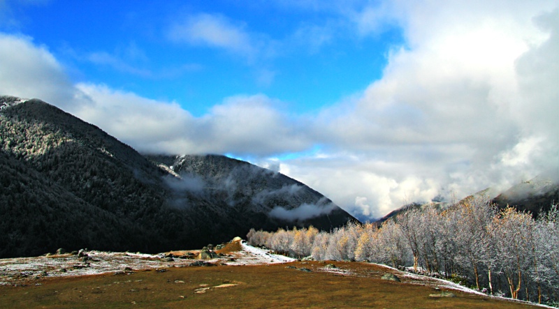 img_6643.jpg