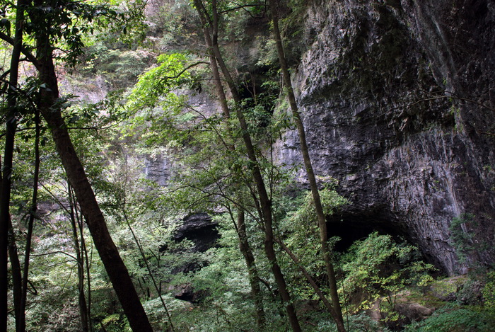 dsc_0280.jpg