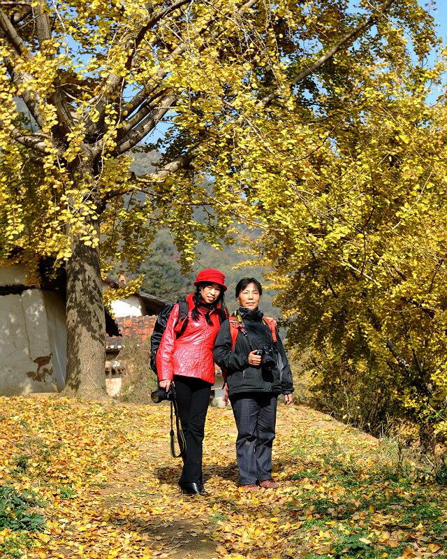 dsc_7088.640x800.292.2k.jpg
