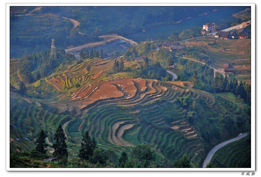 dsc_1422_neo_img.jpg
