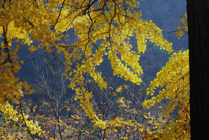 dsc_1116.jpg