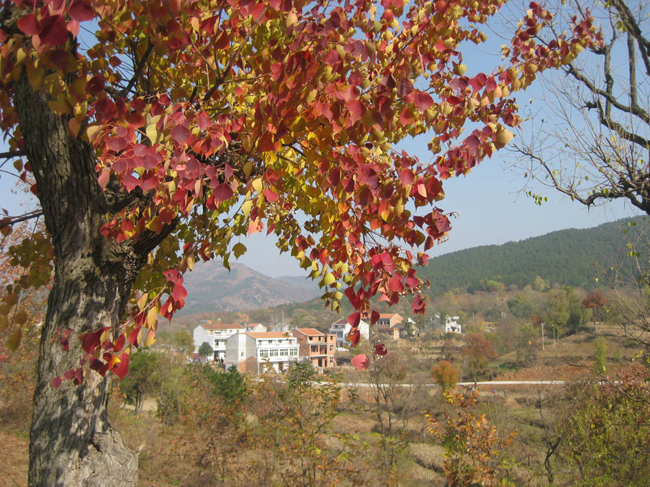 111.jpg